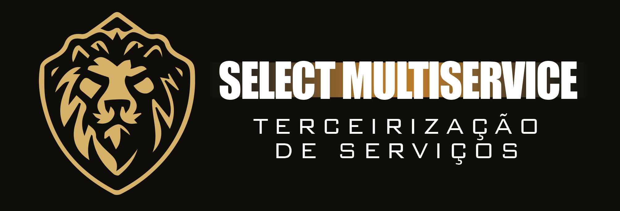 Logo Select Multiservice